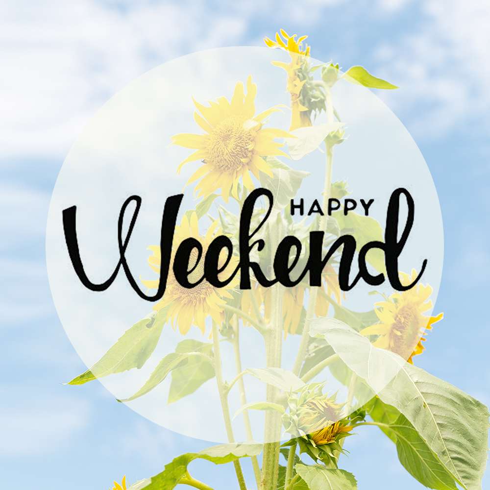 طقس نهاية الاسبوع - مناطق للرحلات - انشطة وفعاليات خلال عطلة نهاية الاسبوع